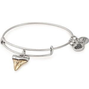 Alex and Ani Shark Tooth Charm Bangle Bracelet